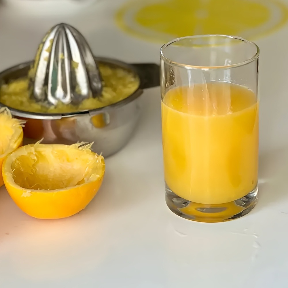 Stainless Steel Manual Citrus  – Commercial Kitchen Dishwasher recenzja i cena